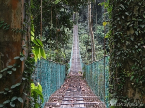 Borneo