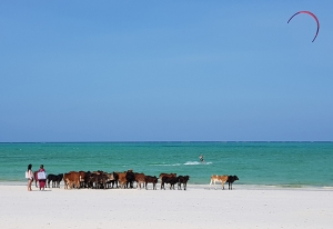 Zanzibar